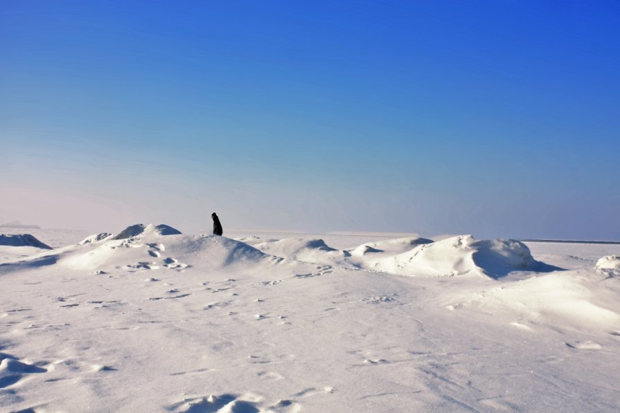 snow desert - Виктория Зайцева