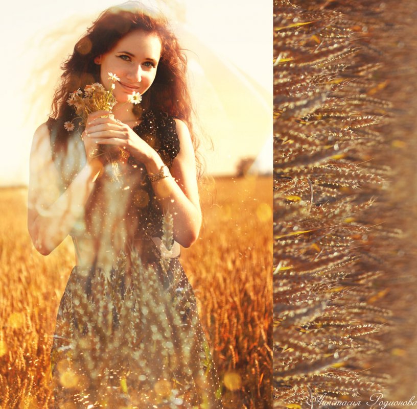 Пшеничные волосы - Анастасия Родионова