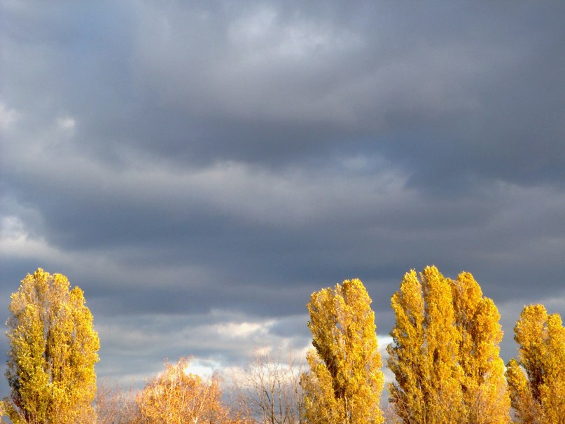 Blue and yellow - Роман Комина