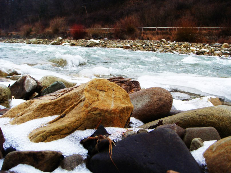Carpathian river - Роман Комина