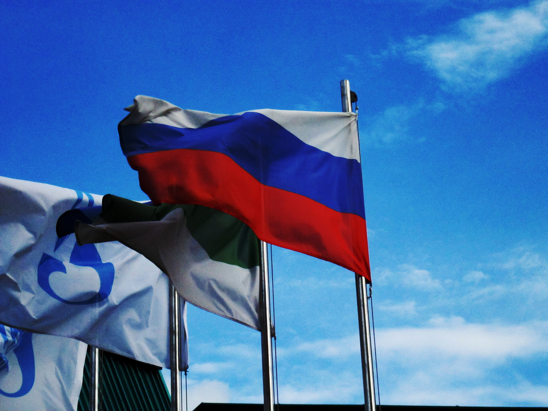 Флаги - Снежана Удалова
