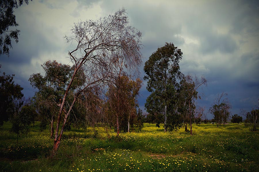 Before a Storm ... - Георгий Столяров