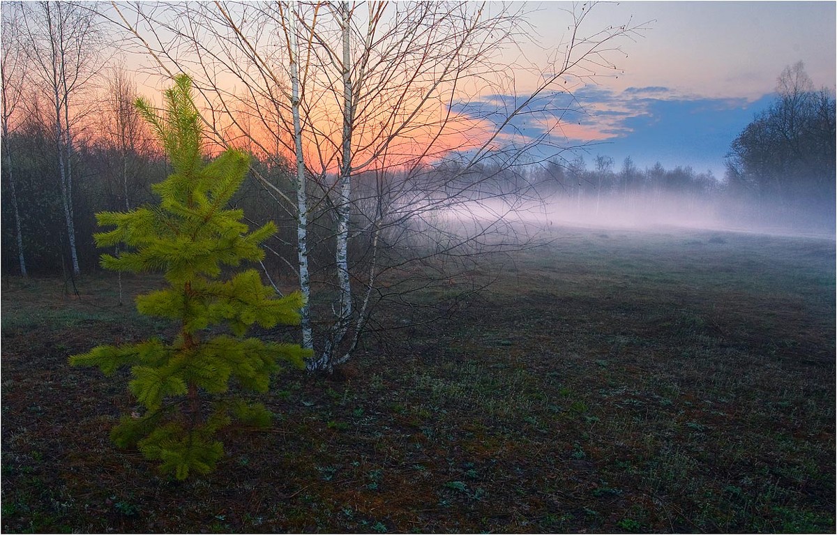 Голубой туман - Евгений Нелихов