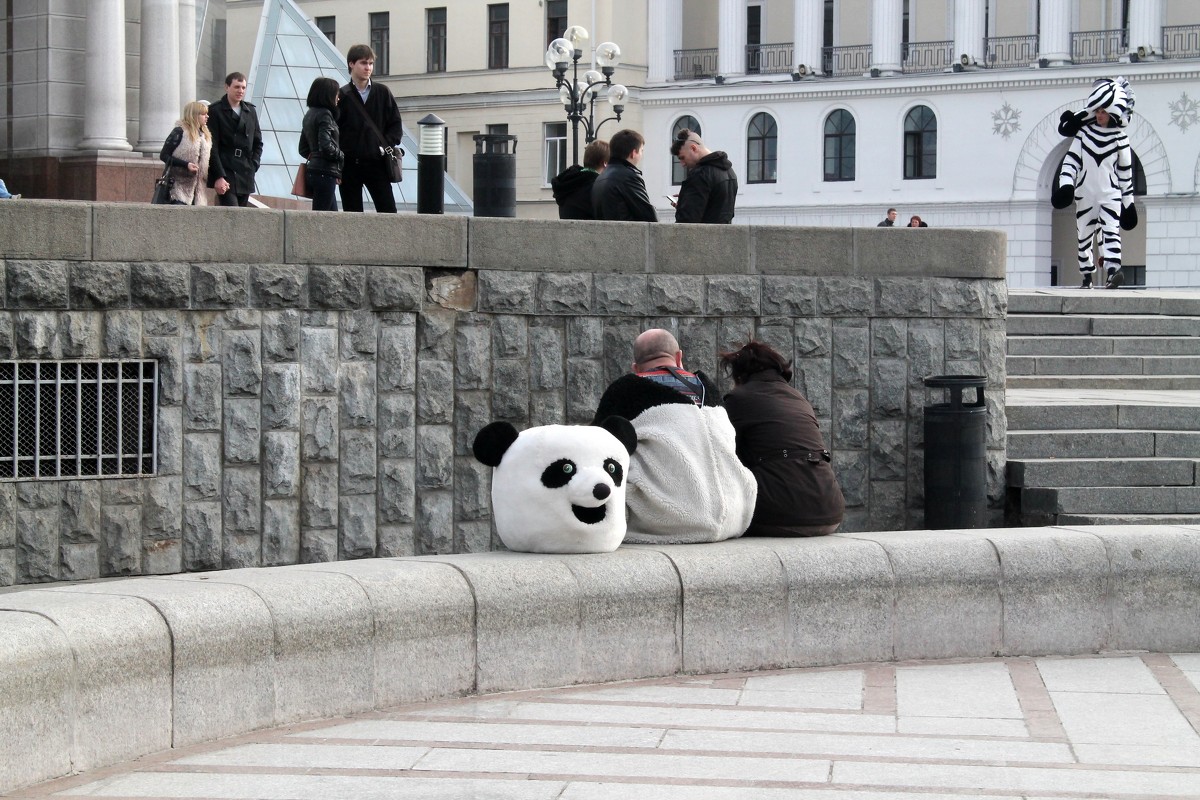 Панда на отдыхе :) - Евгений Кочуров