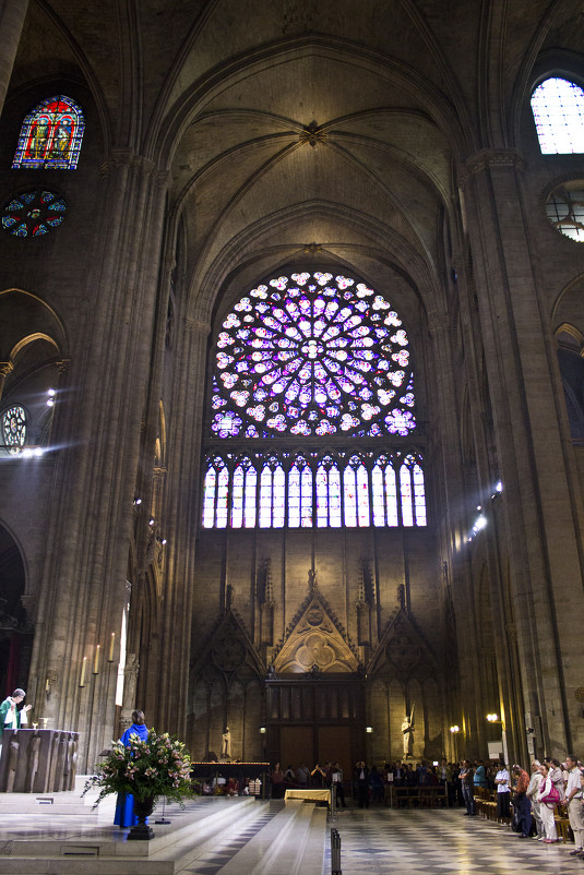 Notre Dame de Paris - Julia Petrichenko