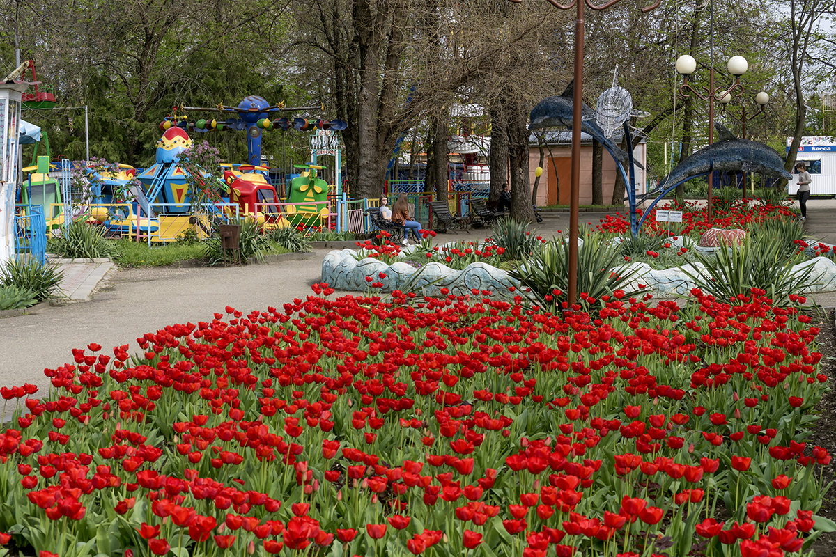 Весна в моем городе - Игорь Сикорский