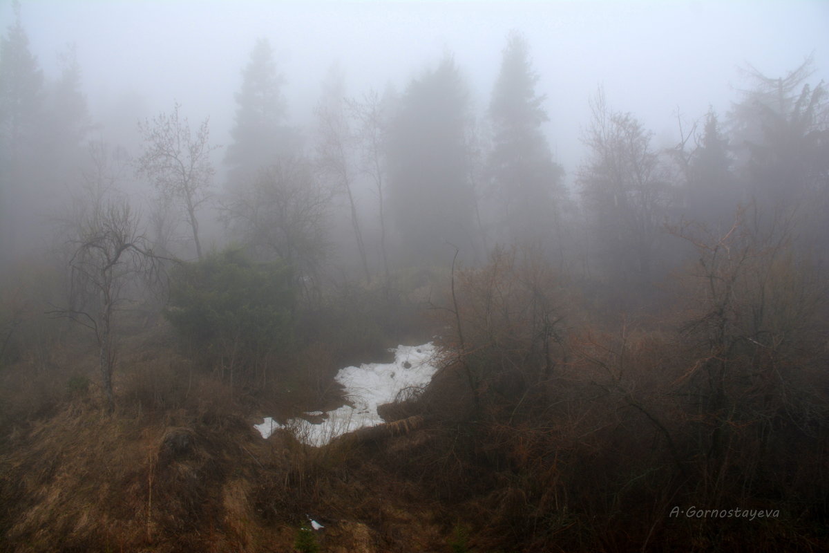 Туман в горах. - Anna Gornostayeva