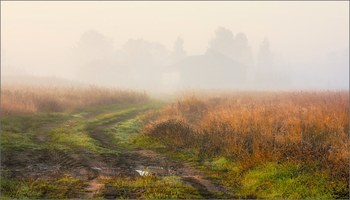 Деревня осень туман