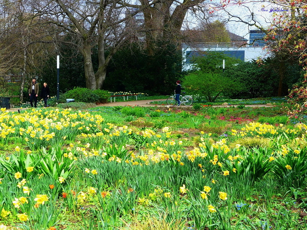 Hamburg. Planten un Blomen - Nina Yudicheva