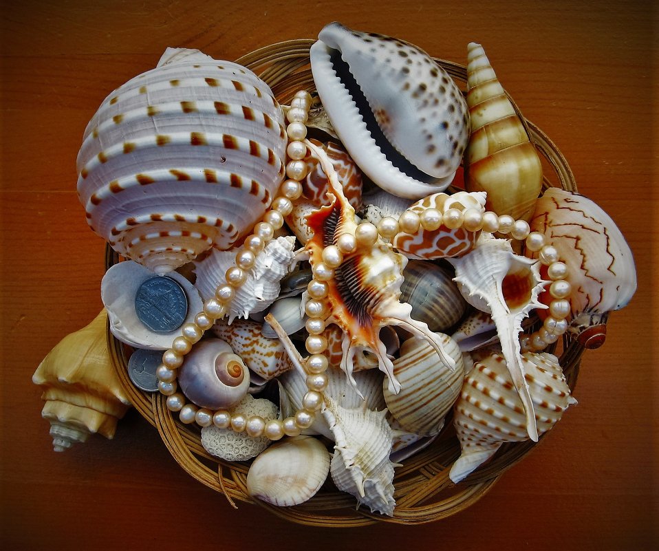 Подарки Андаманского моря - Сергей Чиняев 