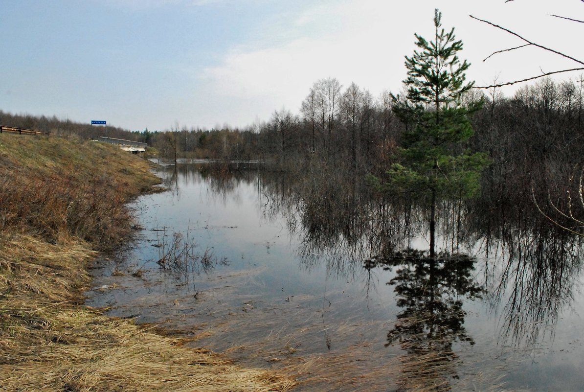Разлив на реке Серёжа - Николай Масляев