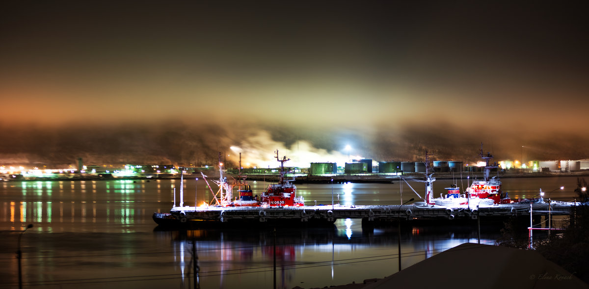 Зимняя ночь в порту г.Мурманск вид с пос.Дровяное - Elena Kovach