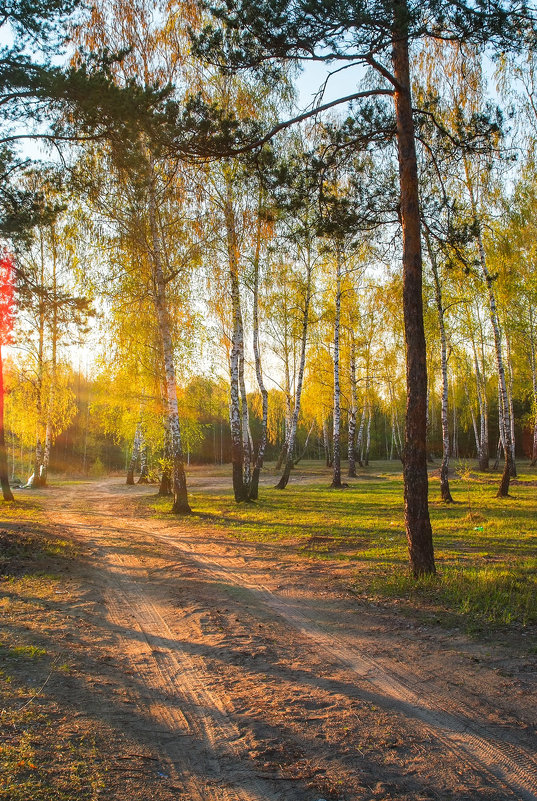 ... - василий 