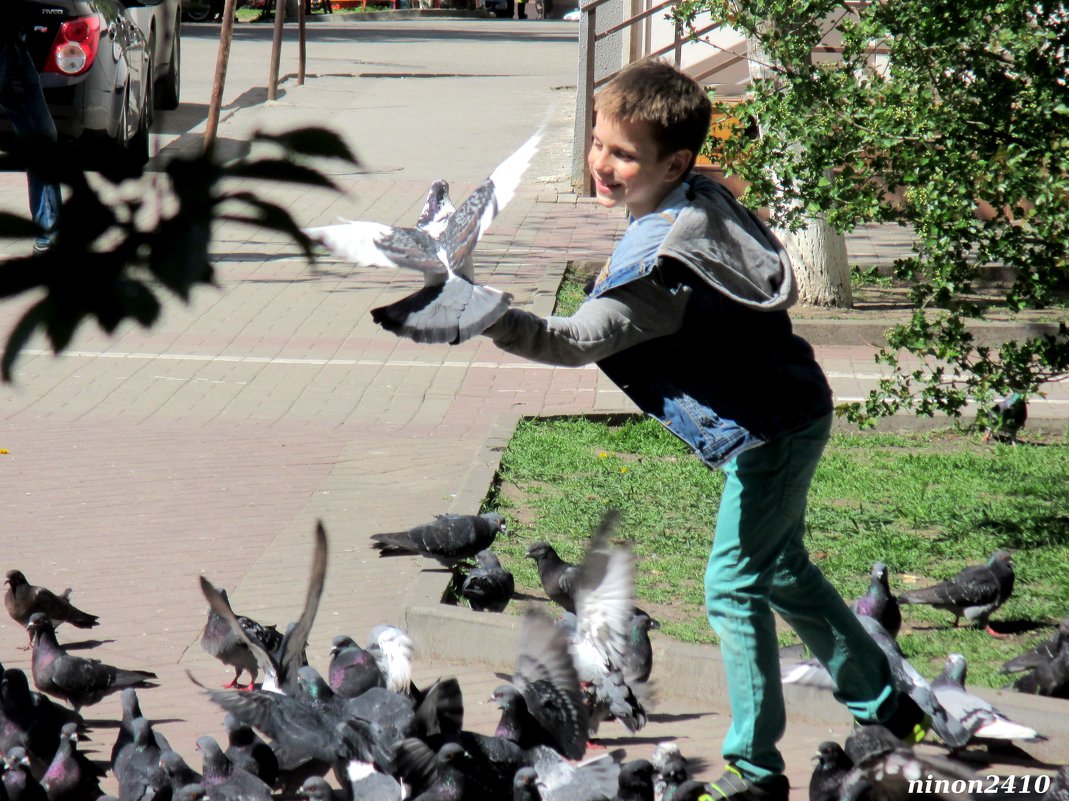 Весна, мальчик и голуби - Нина Бутко