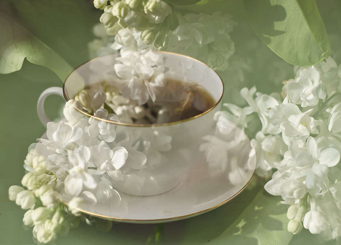 Чай с ароматом белой сирени - Завриева Елена Завриева