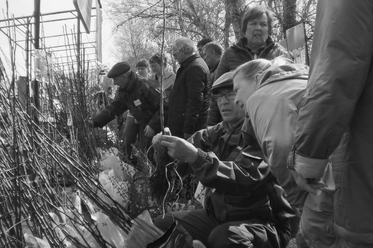 "Птичий рынок" - Садоводы - Евгений Герасименко