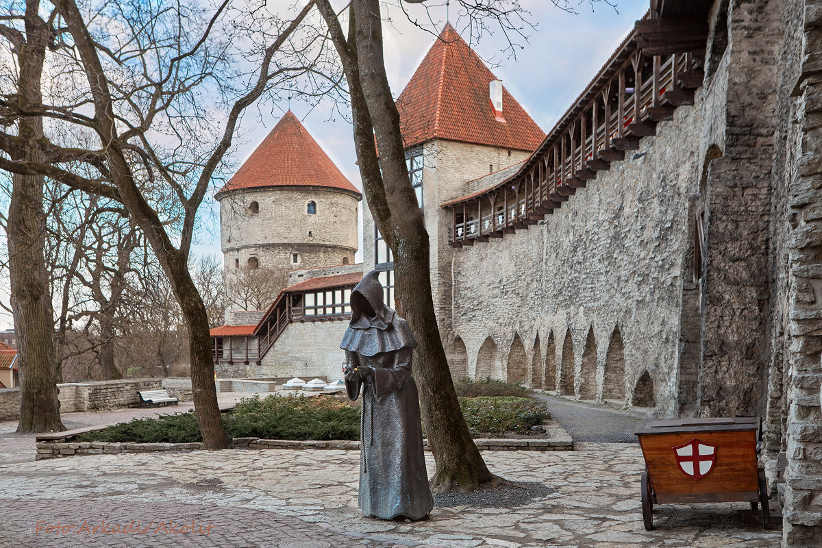 Fotostuudio Akolit, Tallinn - Аркадий  Баранов Arkadi Baranov