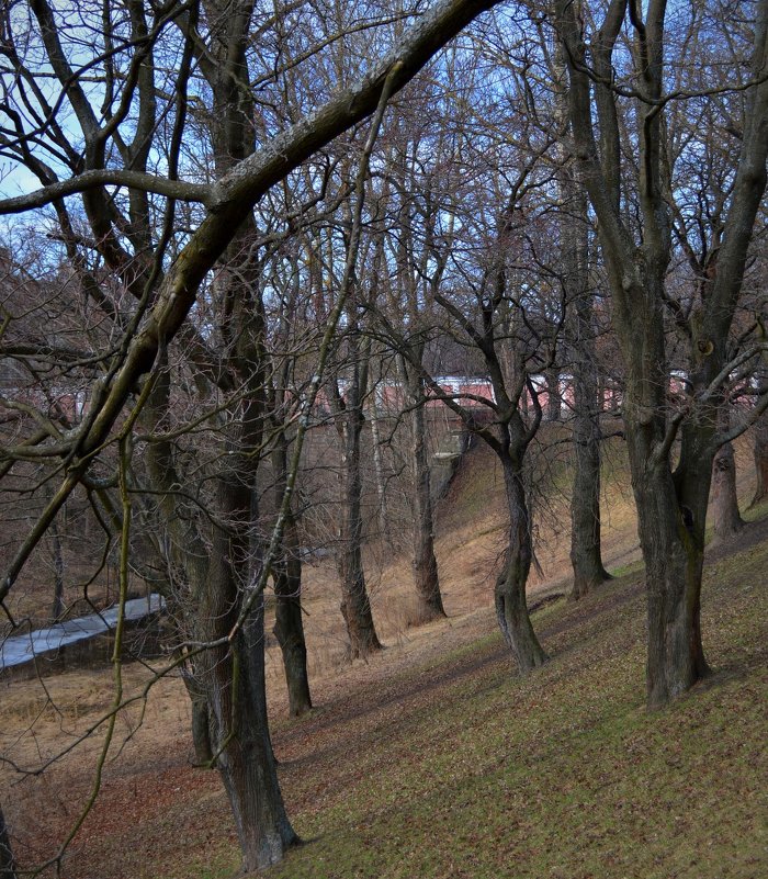 Петровский овраг - Галина Galyazlatotsvet