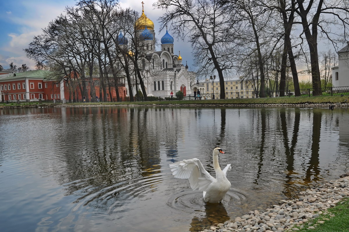 Николо угрешский монастырь картинки