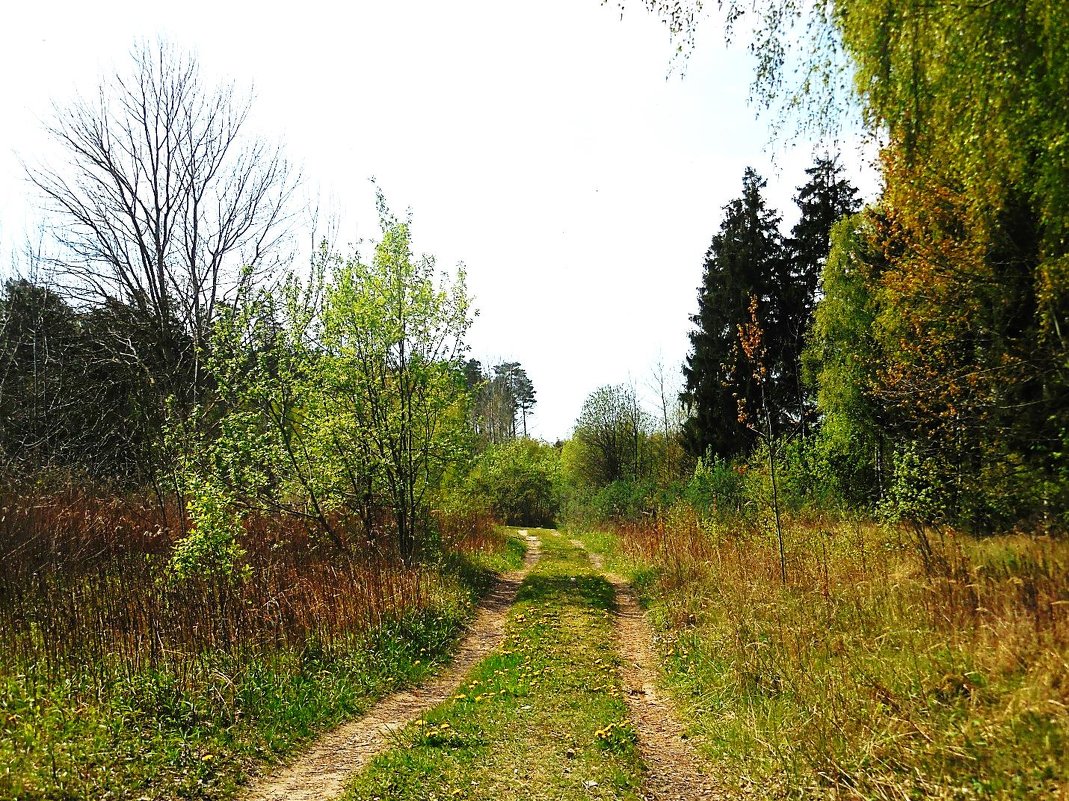 Просёлочная дорога - Маргарита Батырева