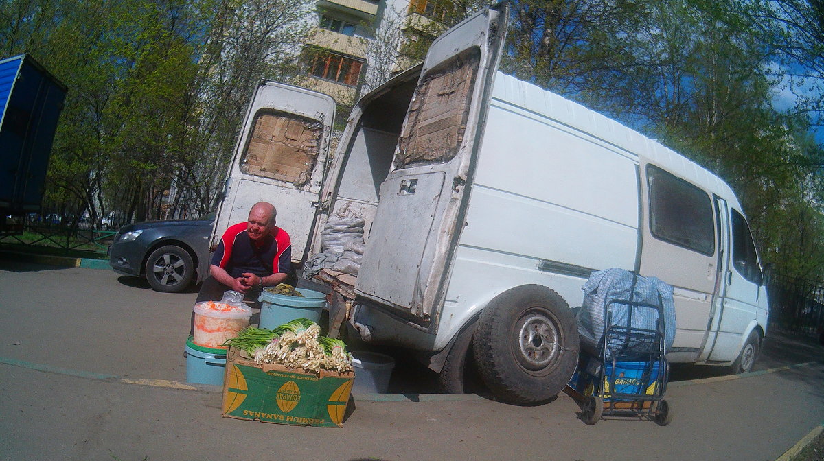 *** - Владимир  Зотов 