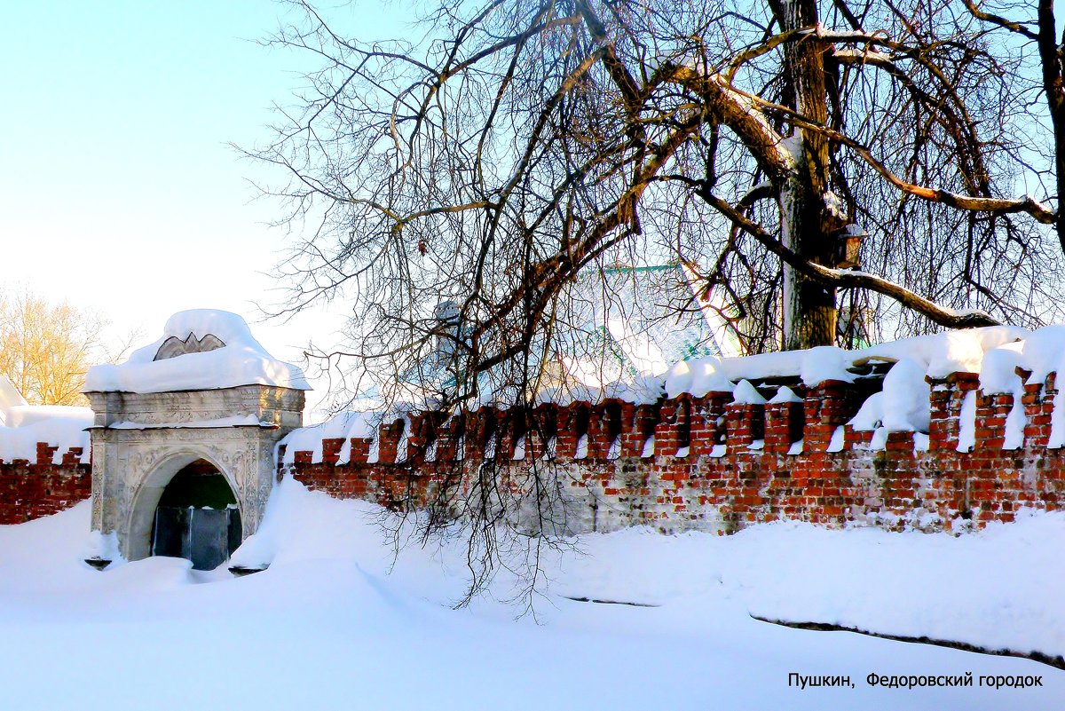 Фёдоровский городок  / 2 / - Сергей 