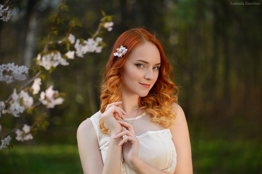 Sakura - Ludmila Zinovina