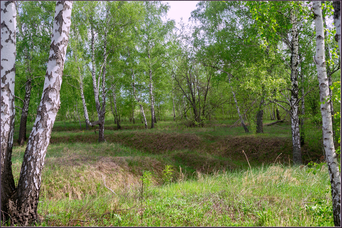 *** - Александр Лихачёв