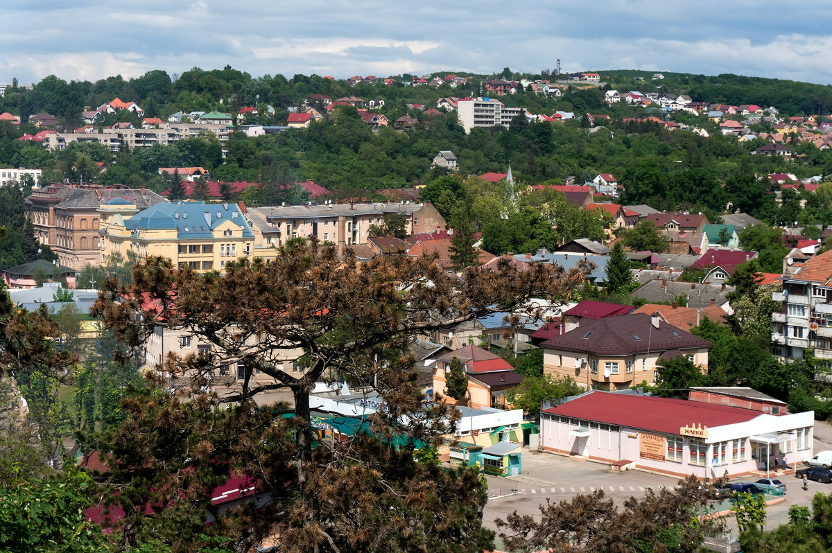 Ужгородский музей - Сергей Форос