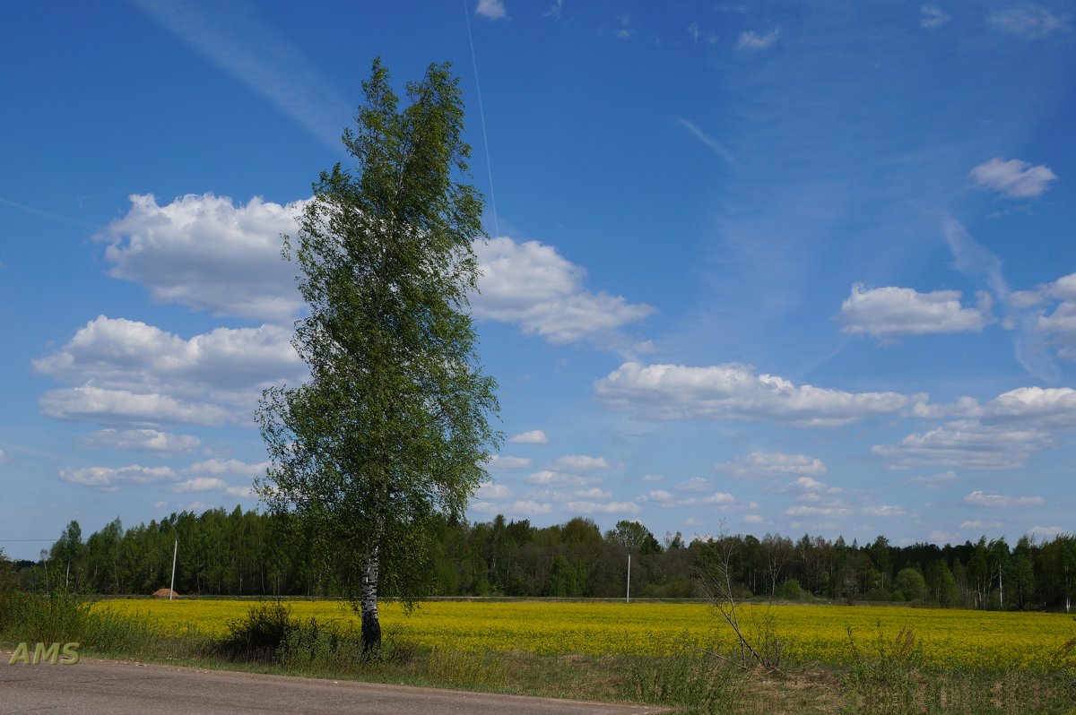 !!!!! - kolyeretka 