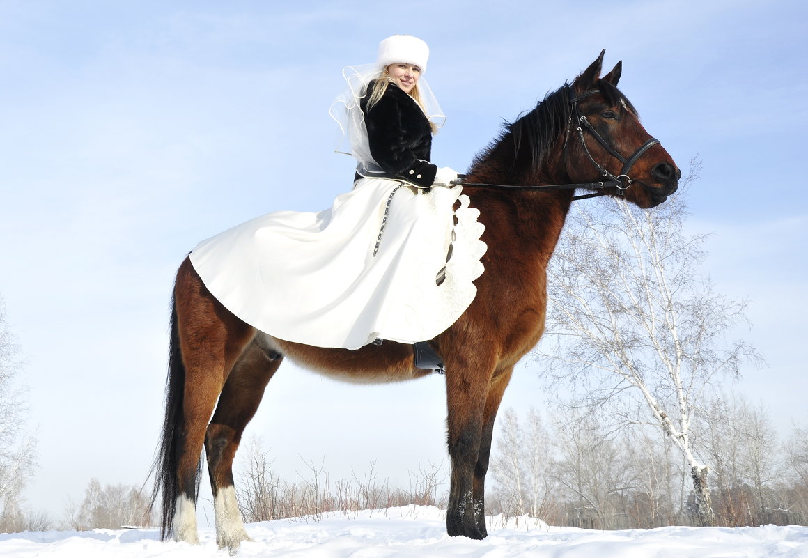 Невеста на лошади - Ольга Слободянюк
