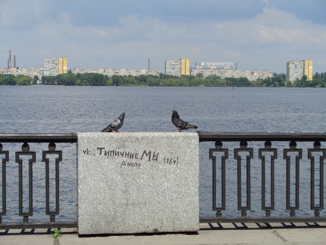 Типичные мы: люди, голуби, дома, автомобили... - Алекс Аро Аро