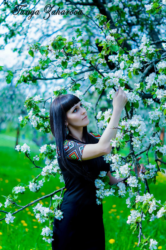 цветущий сад - Татьяна Захарова