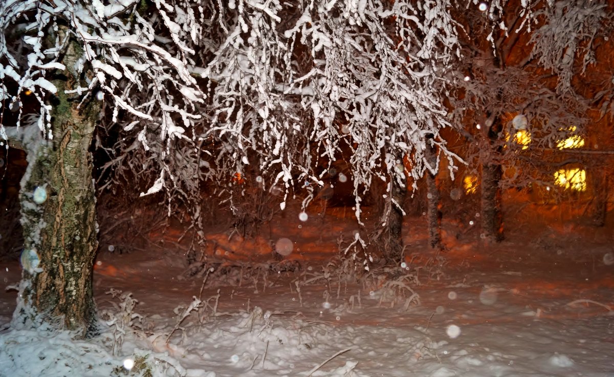 дерево в снегу - Валерия Воронова
