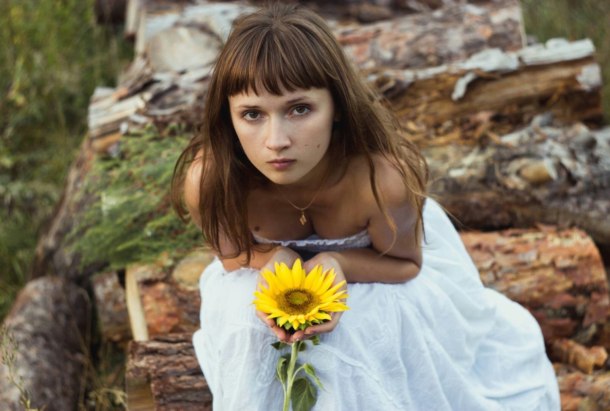 Sunflower - Андрей Даниилов