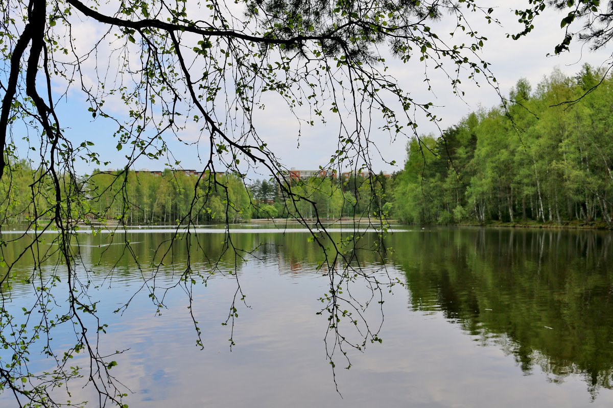 Озеро - Евгения К