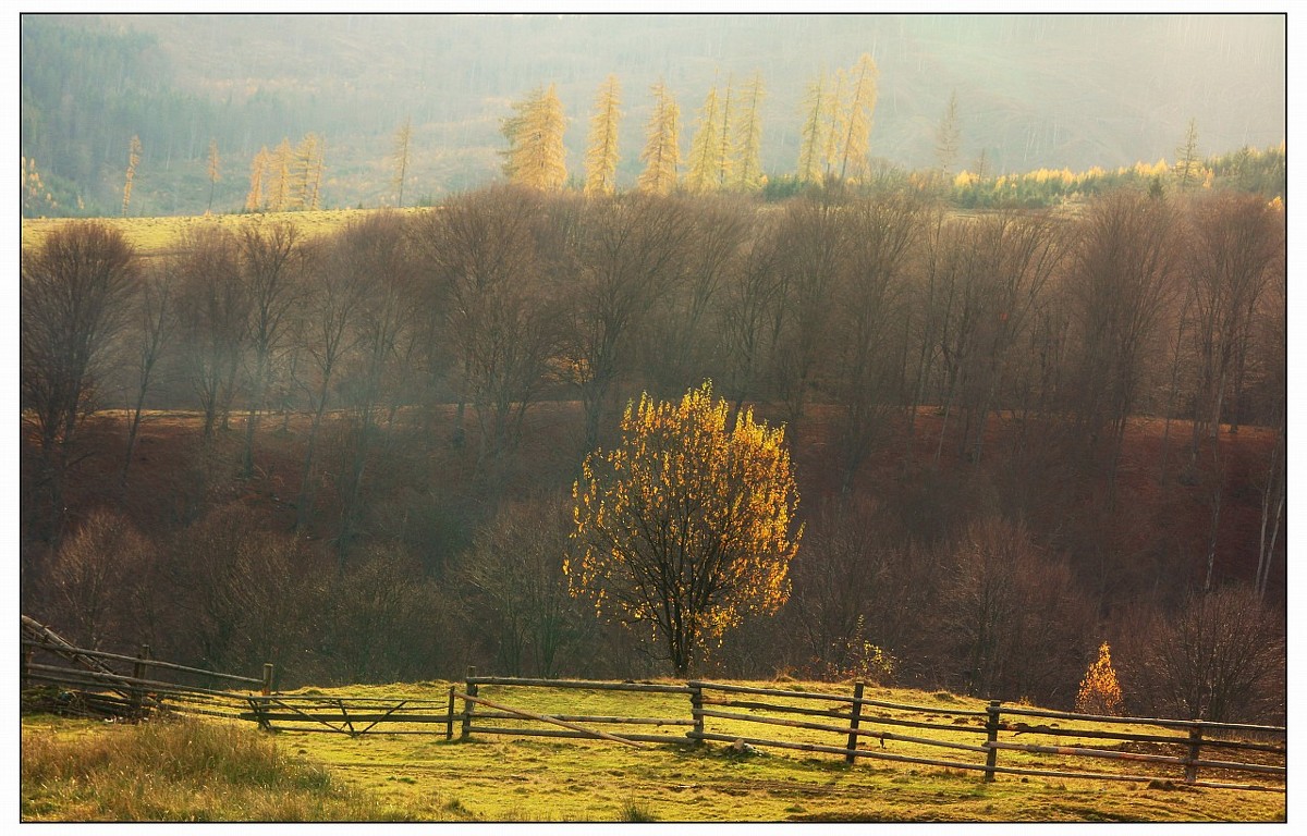 ритм - Андрій Кізима