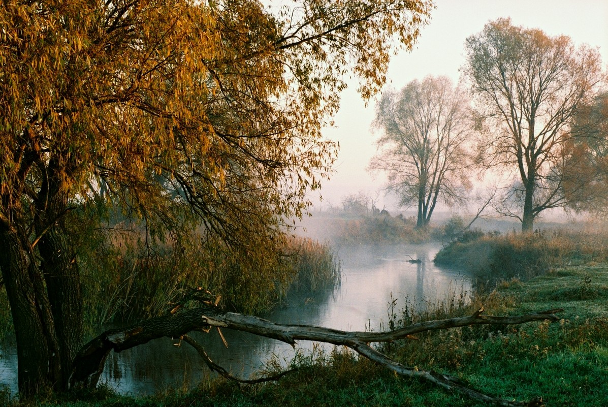Осень - Иван Улас
