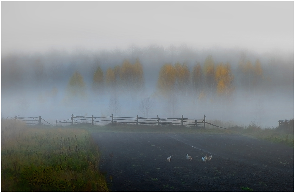 Туманное утро,в деревне - Евгений Нелихов