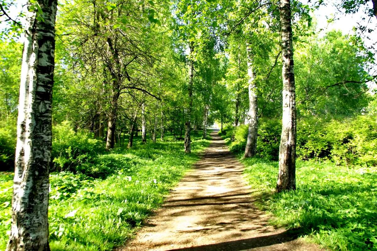 дорожка в парке - Сергей Кочнев