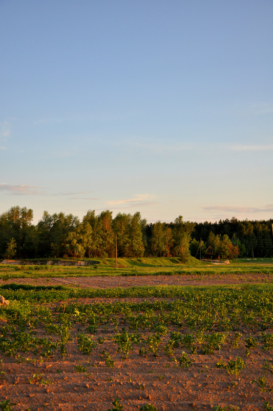 Landscape - Lera Komisarchuk