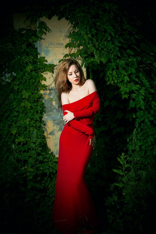 The Lady In Red 4 - Сергей Пилтник