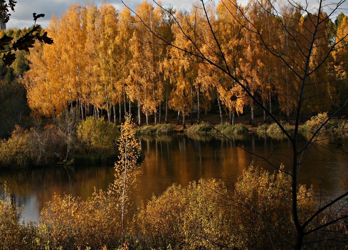 Золотая осень, золотая... - Olenka 