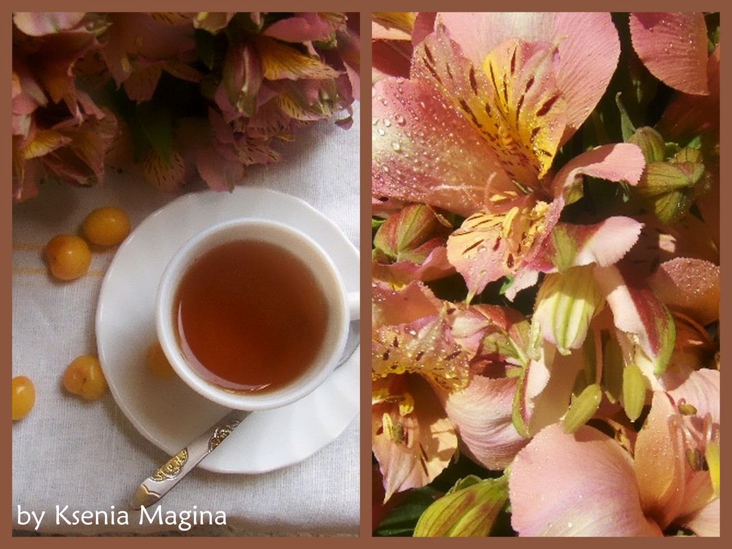 цветочный чай - ксения магина