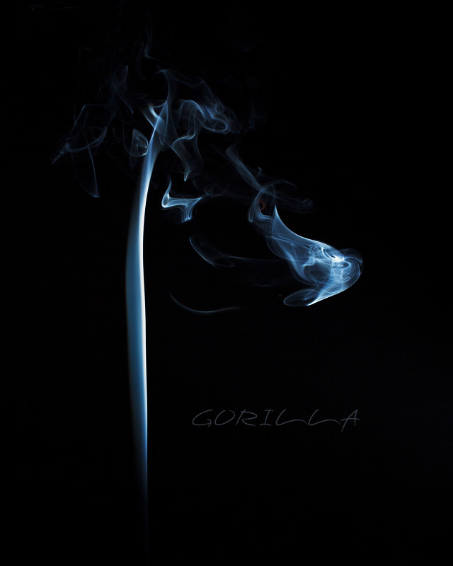 Gorilla! - Паша Иванов