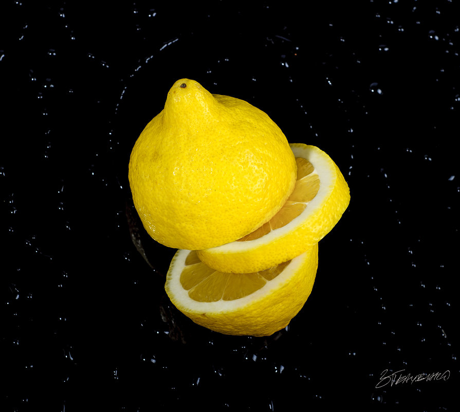 Lemon Space Station - Viktor 