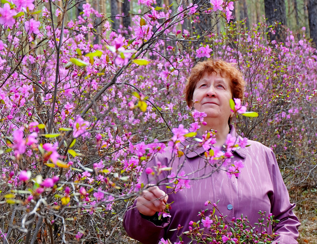 Багуловая красота. Мамочка родная - Елена Фалилеева-Диомидова