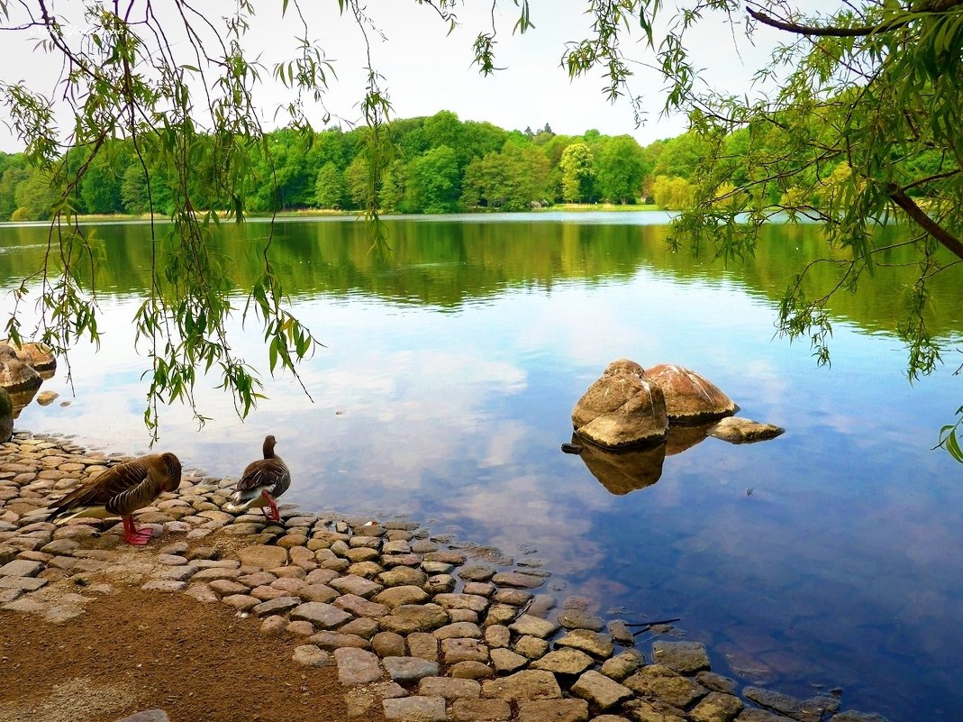 Hamburg.  Aussenmühlenteich - Nina Yudicheva