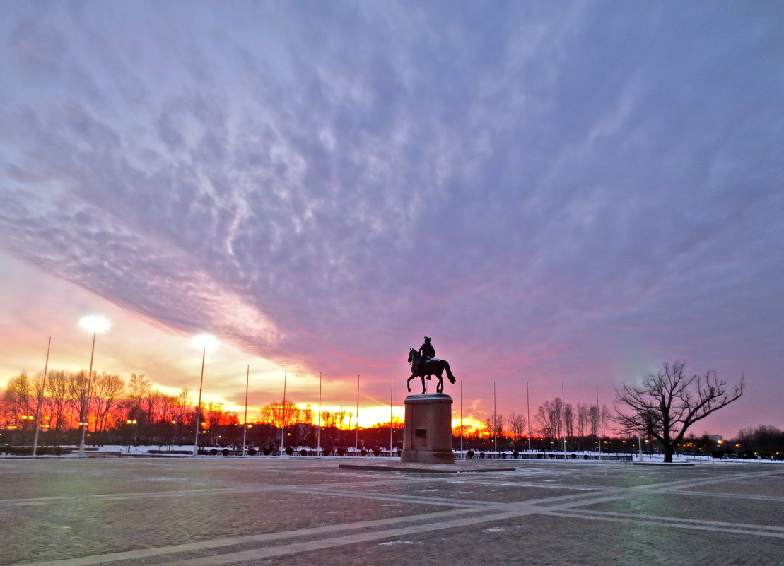 памятник Петру 1 в Стрельне - Елена 