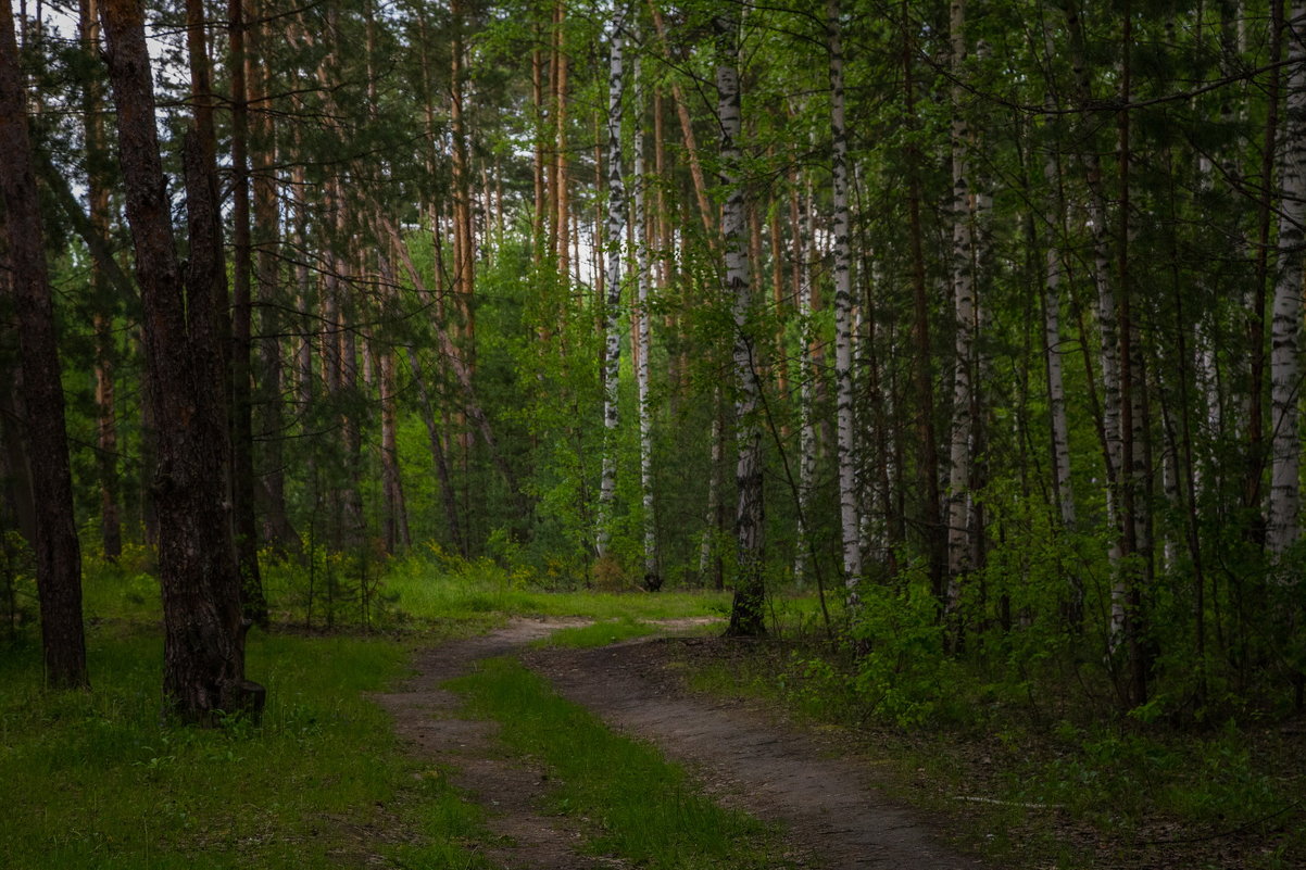 Прогулка с другом - Юрий Морозов